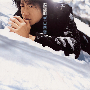 欧美肥婆❌❌一❌
