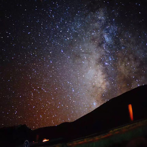 欧美肥婆❌❌一❌
