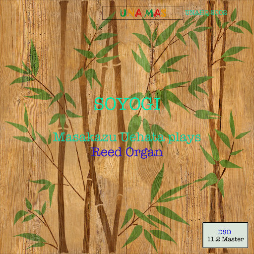 欧美肥婆❌❌一❌
